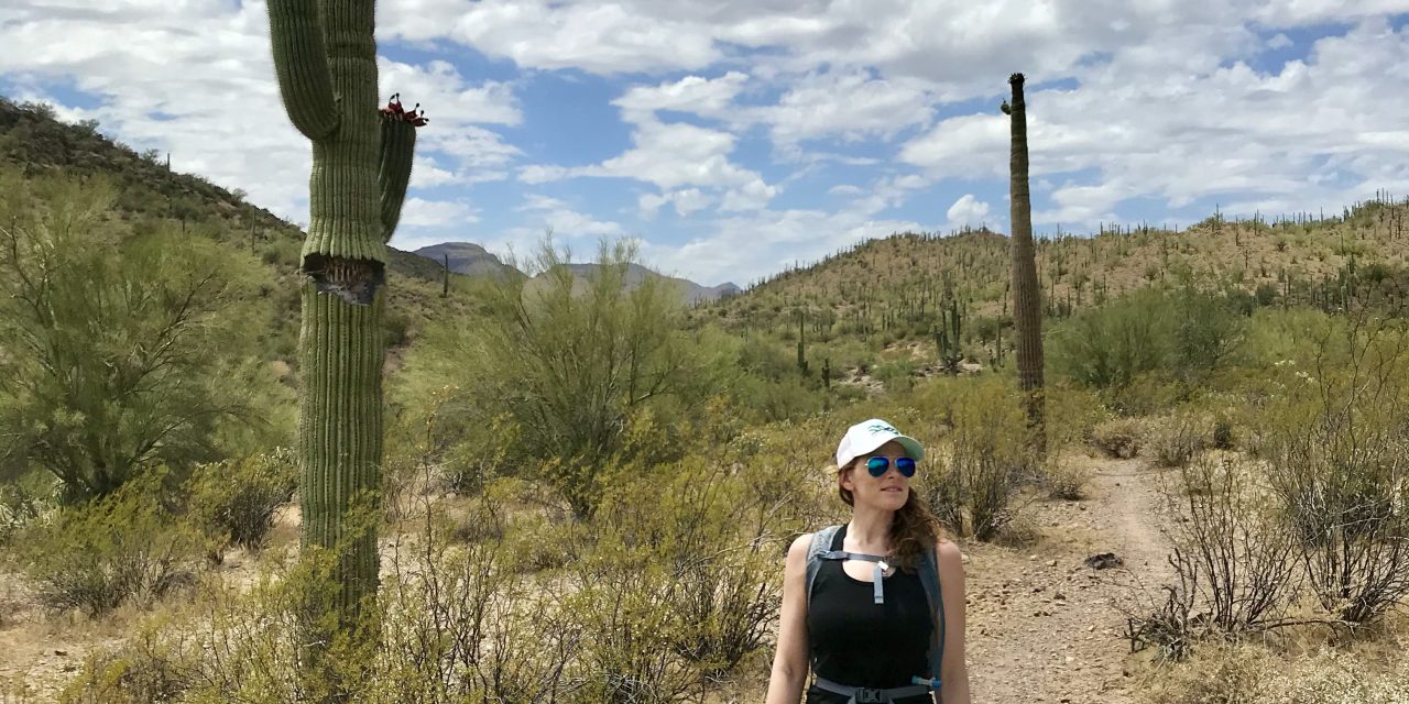 Walkin’ Jim Trail Hike Peoria, AZ