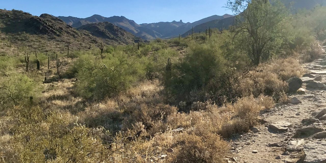 Inspiration Point Hike, McDowell Sonoran Preserve