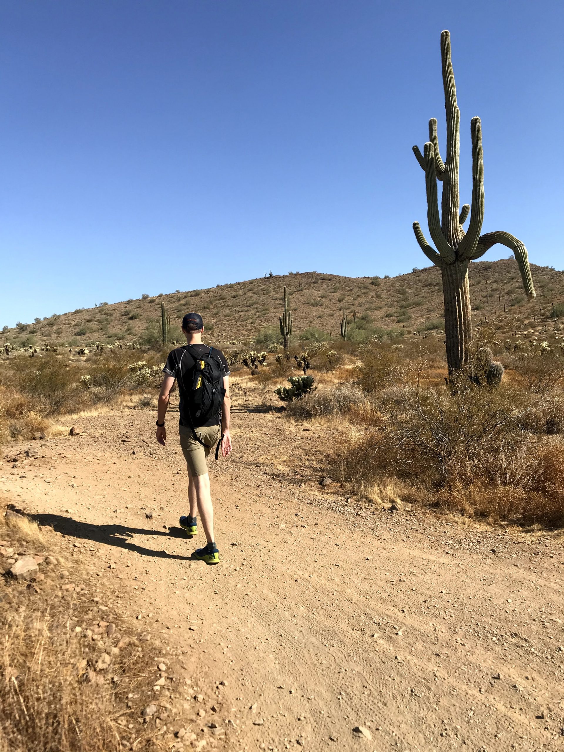 Apache Wash Loop Hike, Phoenix Sonoran Preserve broken arm saguaro