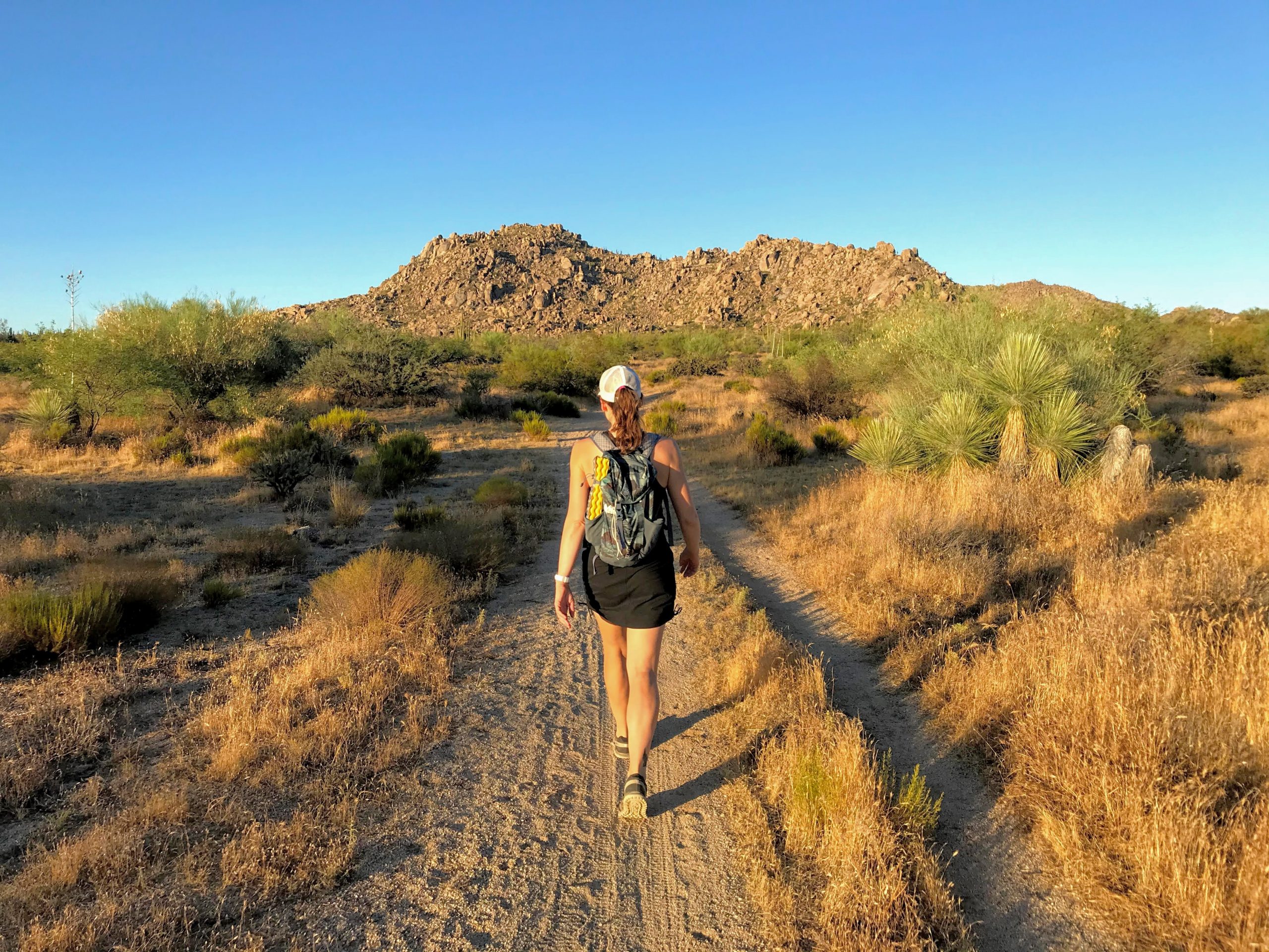 Hiking to Brown's Ranch Cholla Mountain