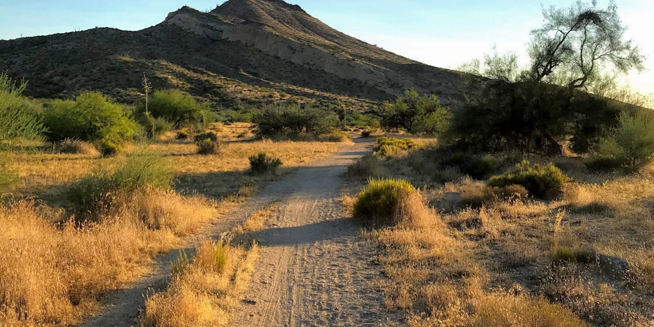 Hiking to Brown’s Ranch, McDowell Sonoran Preserve