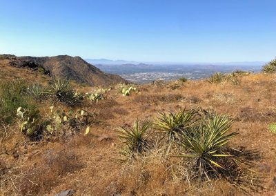 Hike to the Lookout: Views to Downtown