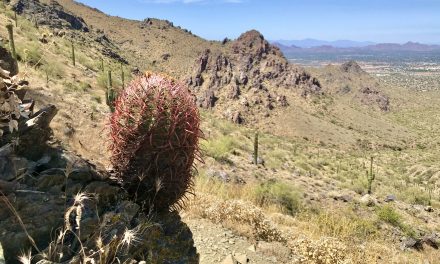 Bell Pass Hike, McDowell Sonoran Preserve