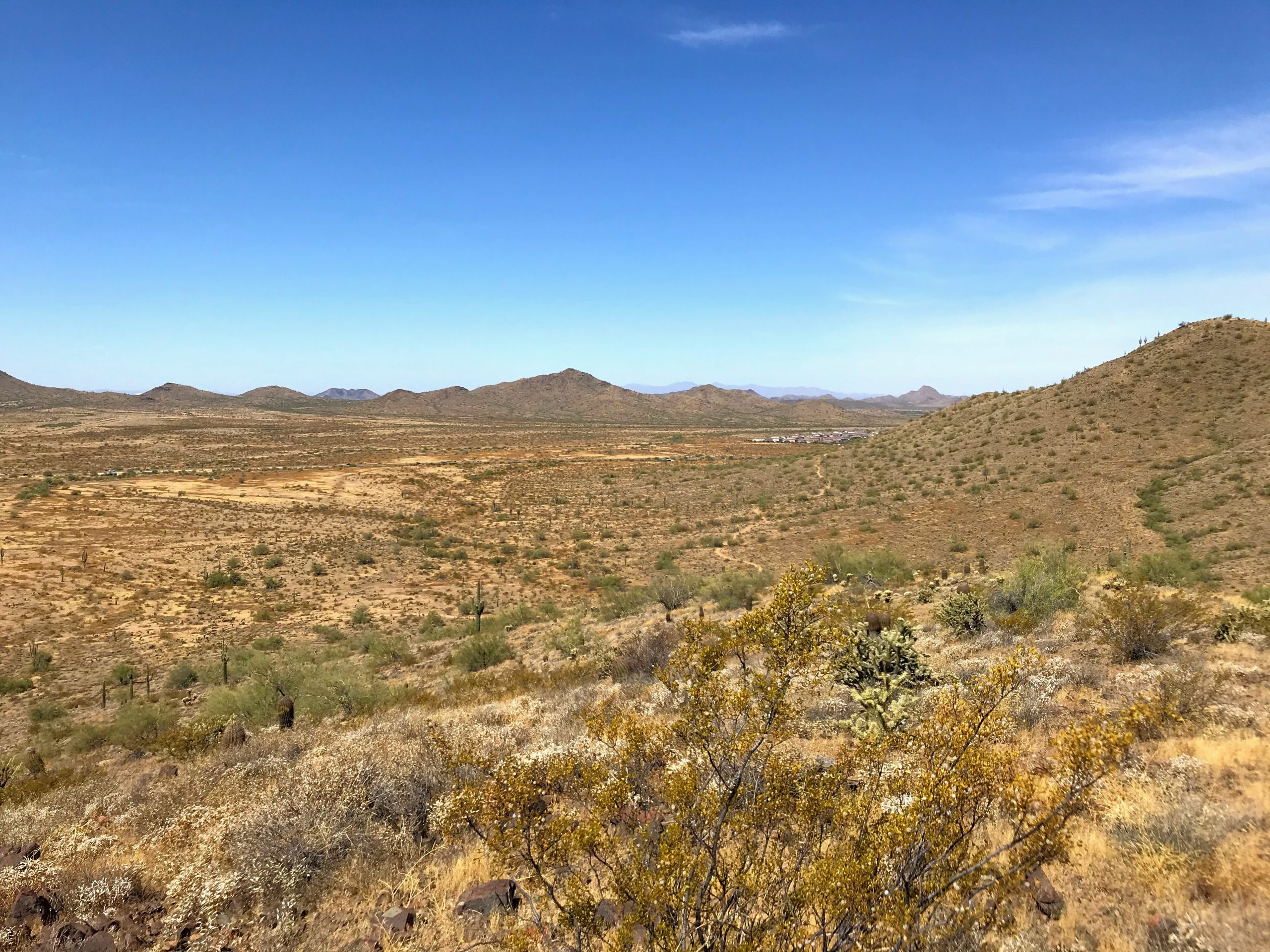 Sidewinder trail hike Phoenix Sonoran Preserve views southeast
