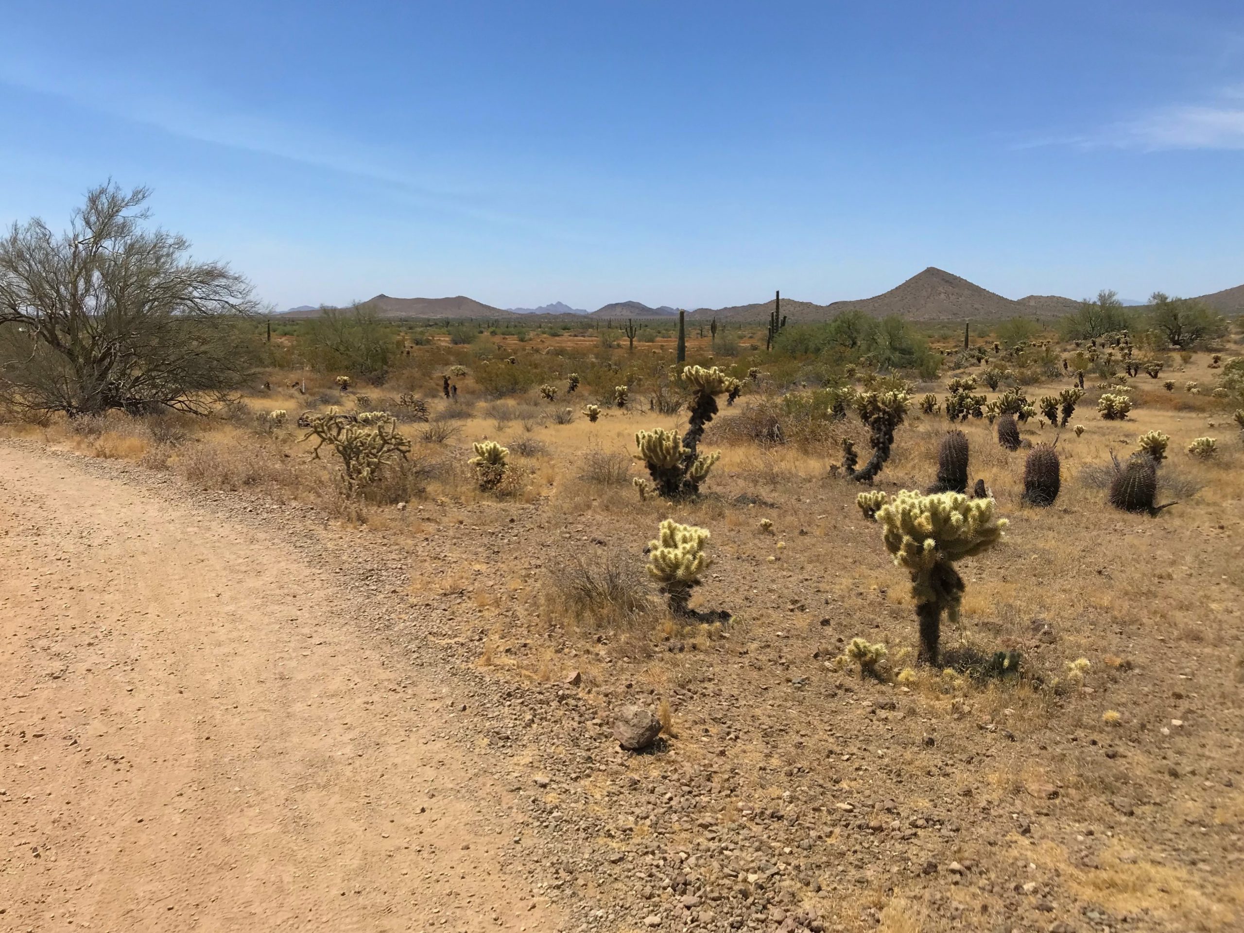 Sidewinder trail hike Phoenix Sonoran Preserve views south