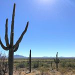 Ridgeline Trail Hike, Phoenix Sonoran Preserve