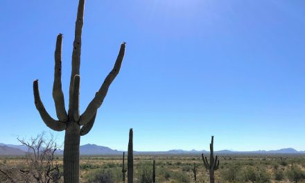 Ridgeline Trail Hike, Phoenix Sonoran Preserve