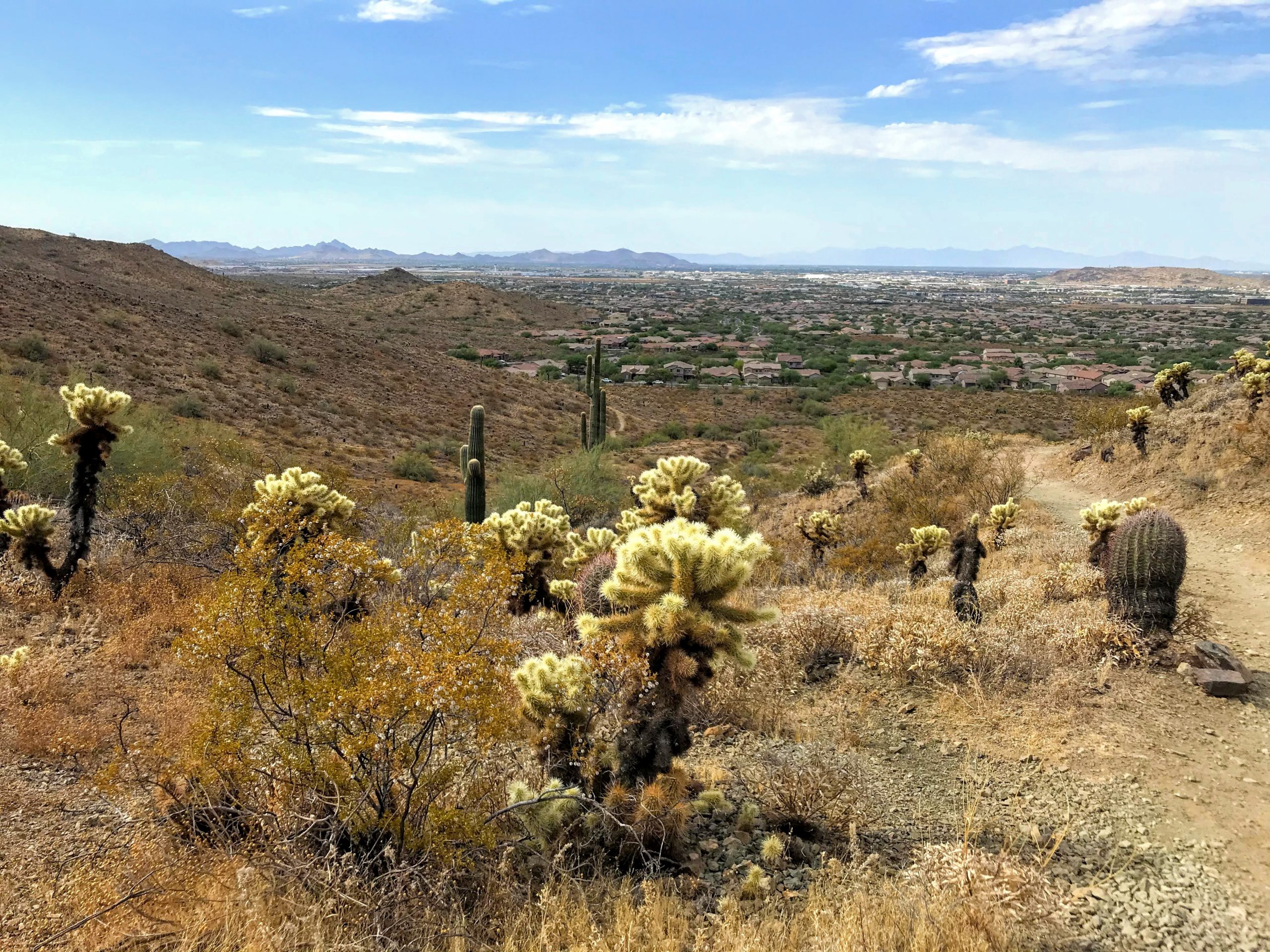 Desert Vista Trailhead Hikes, Phoenix Sonoran Preserve downtown views