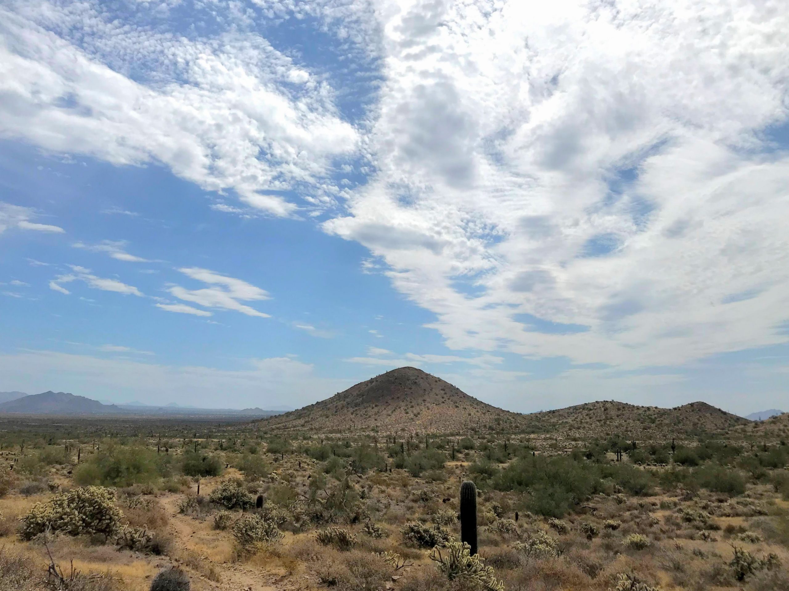 Desert Vista Trailhead Hikes, Phoenix Sonoran Preserve flat area perfect for camping