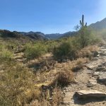Inspiration Point Hike, McDowell Sonoran Preserve