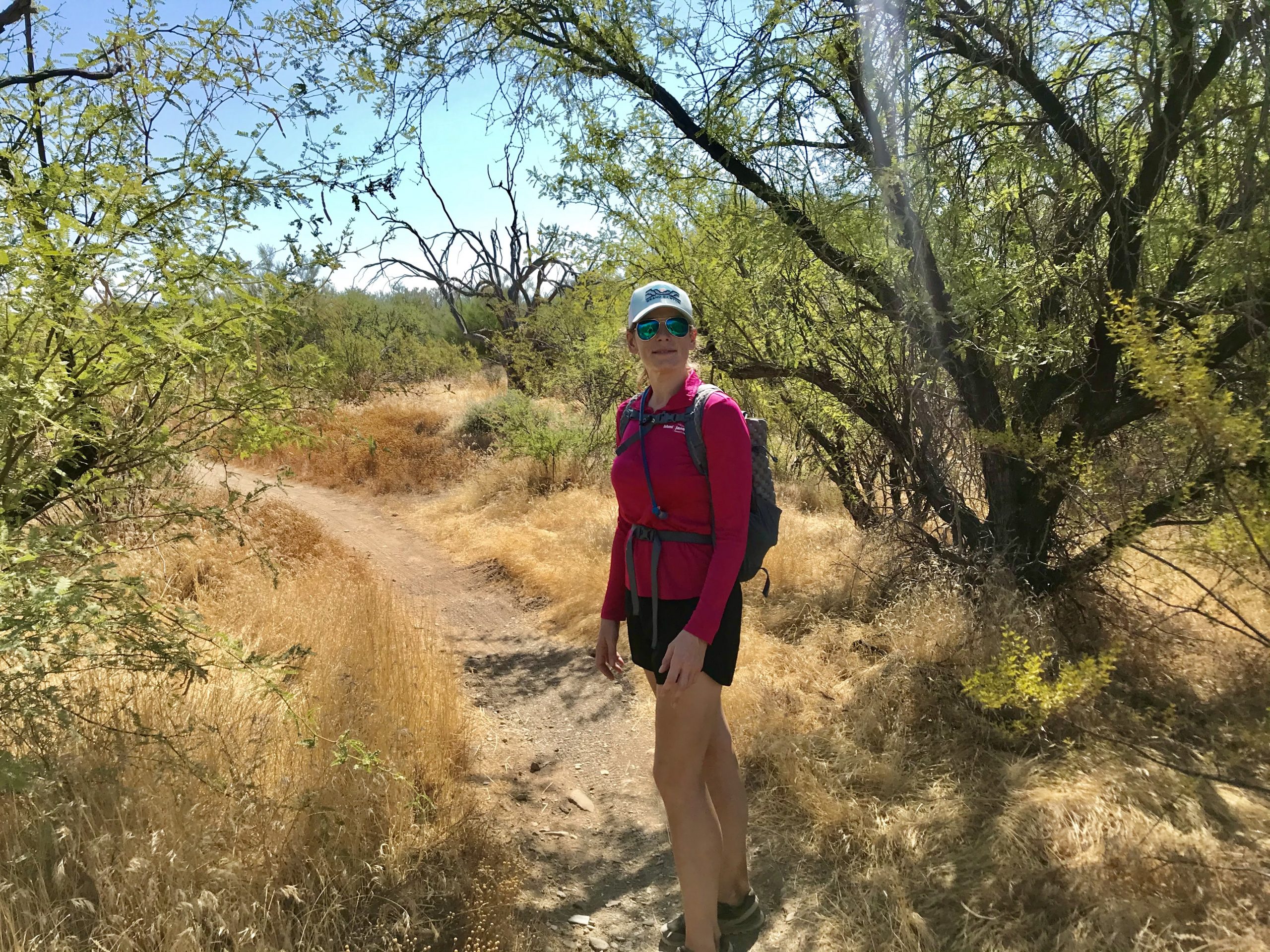 Apache Wash Loop Hike, Phoenix Sonoran Preserve trees!