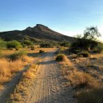 Hiking to Brown’s Ranch, McDowell Sonoran Preserve