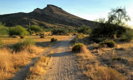 Hiking to Brown’s Ranch, McDowell Sonoran Preserve