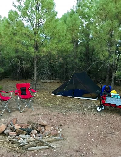 Dispersed Camping Fire Control Road (NF-64) Payson AZ pine campsite
