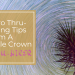 9 Pro Thru-Hiking Tips from a Triple Crown Thru-Hiker