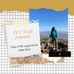 PCT Trail Journal: Day 4 Mt Laguna to Mile 56.2 (Miles 48.7 to 56.2)