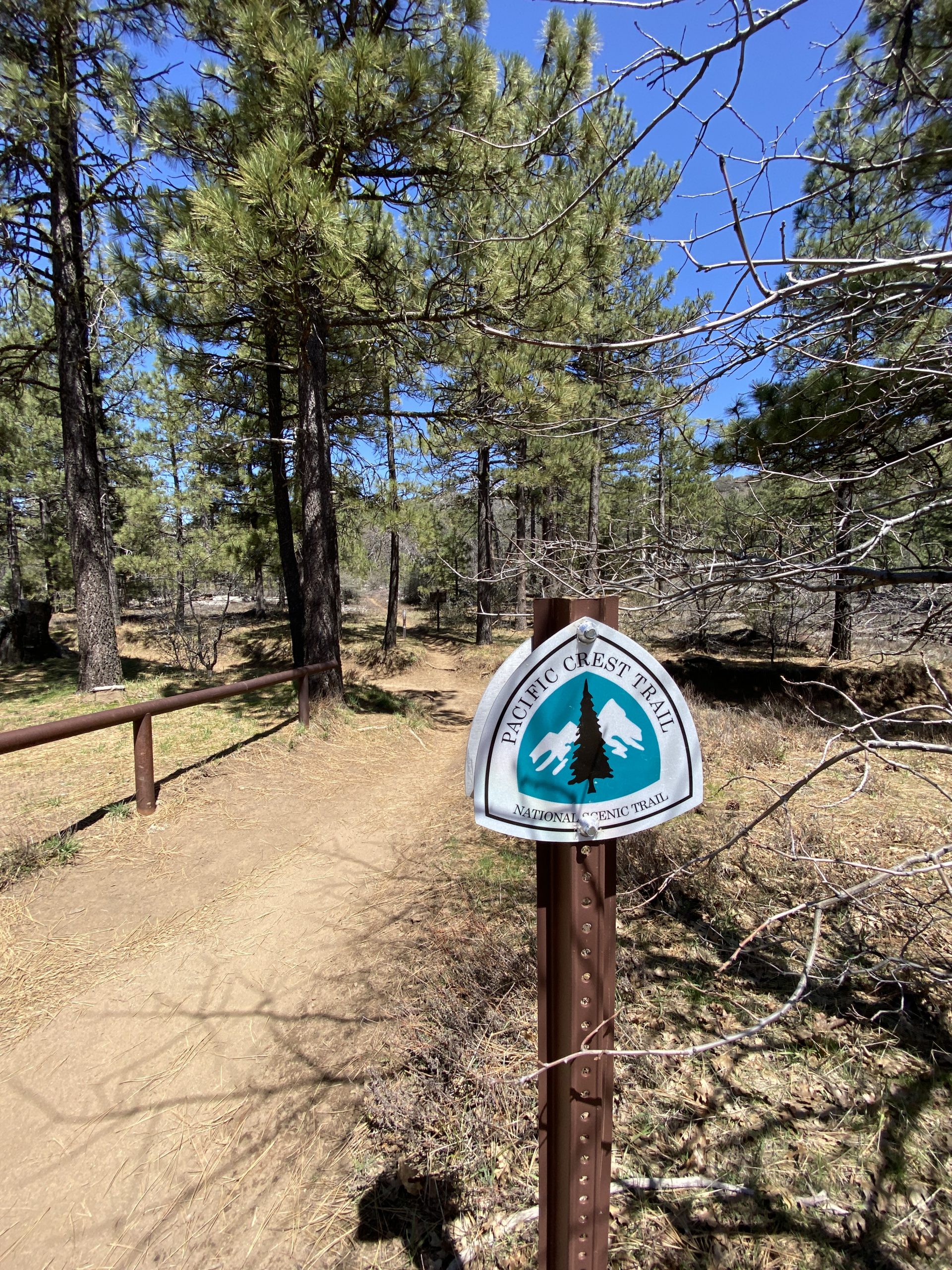 Boulder Oaks campground to Mt Laguna pine forest