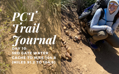 PCT Trail Journal: Day 10 3rd Gate Water Cache to Mile 104.8 (Miles 91.2 to 104.8)