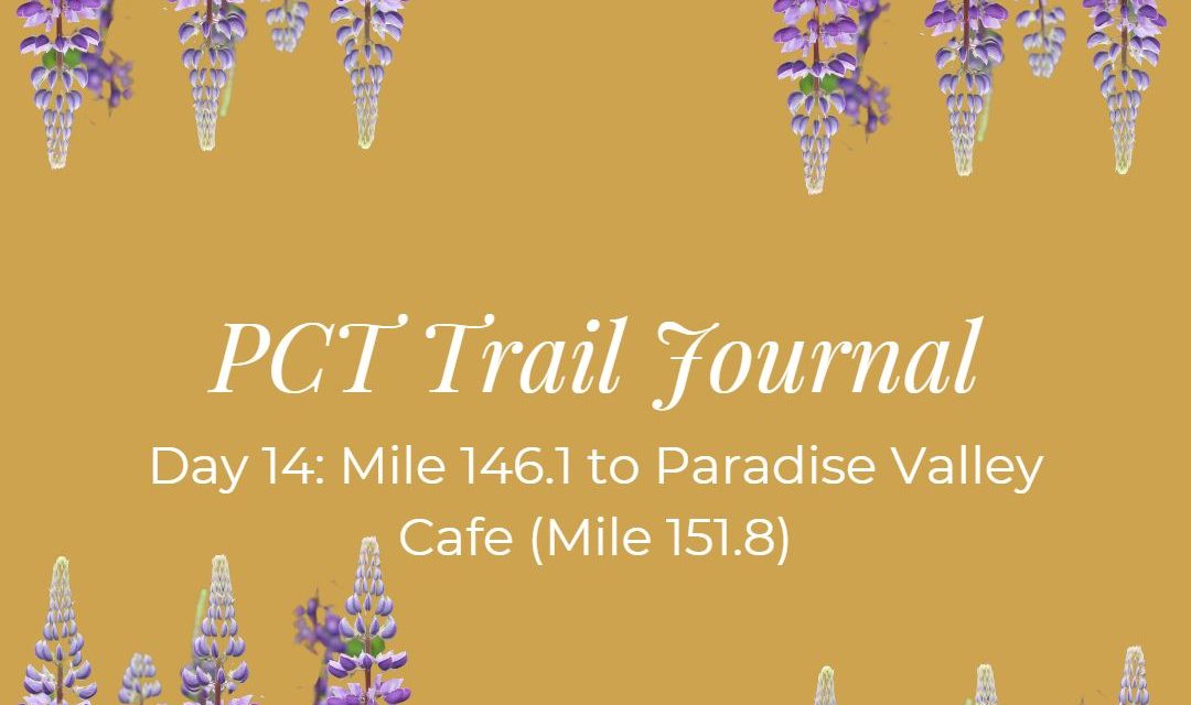 PCT Trail Journal: Day 14 Mile 146.1 to Paradise Valley Cafe (Mile 151.8)
