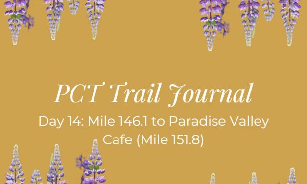 PCT Trail Journal: Day 14 Mile 146.1 to Paradise Valley Cafe (Mile 151.8)