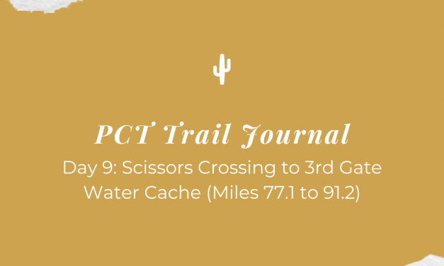 PCT Trail Journal: Day 9 Scissors Crossing to 3rd Gate Water Cache (Mile 77.1 to 91.2)