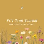 PCT Trail Journal: Day 13 Miles 131.6 to 146.1