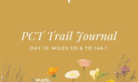 PCT Trail Journal: Day 13 Miles 131.6 to 146.1