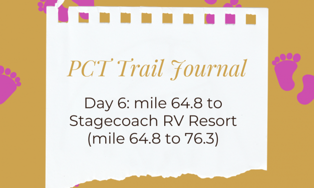 PCT Trail Journal: Day 6 mile 68.4 to Stagecoach RV Resort (mile 68.4 to 76.3)