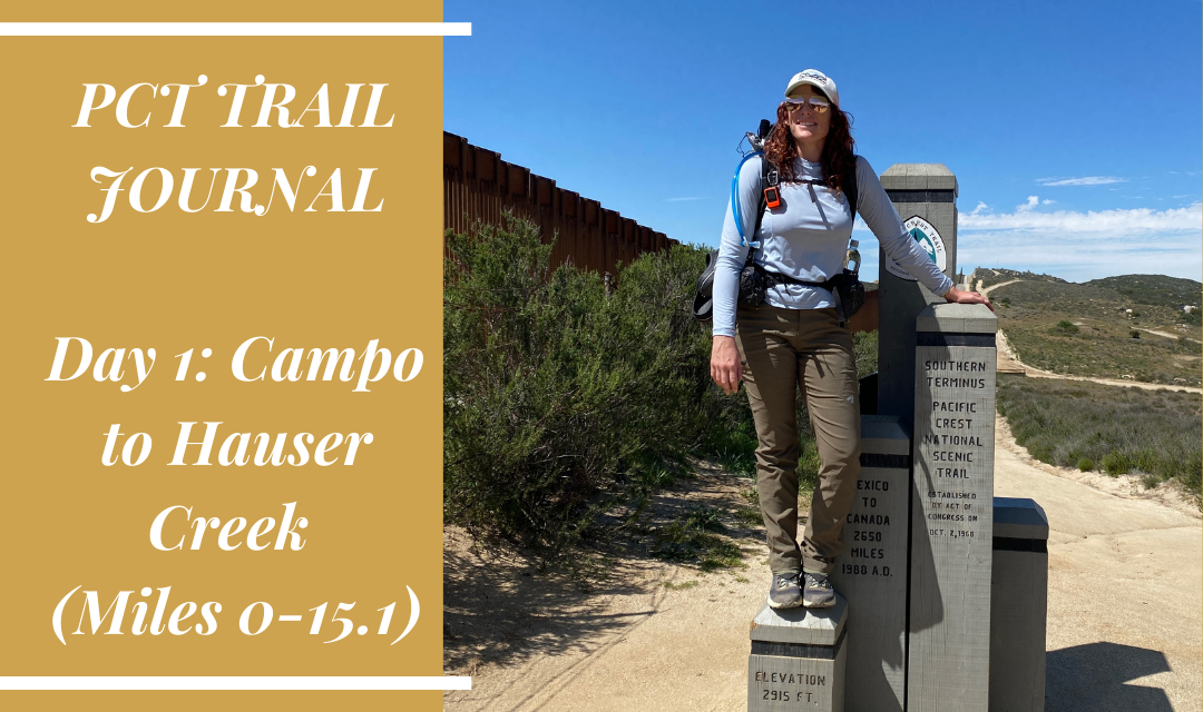 PCT Trail Journal: Campo to Hauser Creek, Miles 0-15.1