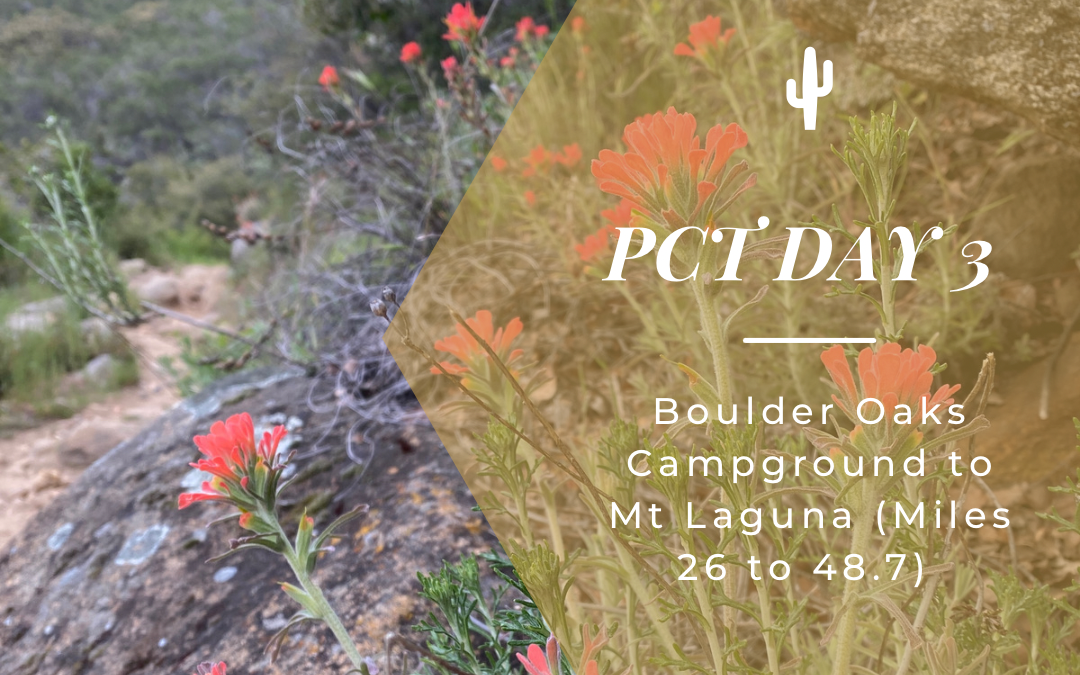 PCT Trail Journal: Day 3 Boulder Oaks Campground to Mt Laguna (Miles 26 – 48.7)