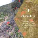 PCT Trail Journal: Day 3 Boulder Oaks Campground to Mt Laguna (Miles 26 – 48.7)