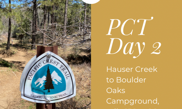 PCT Trail Journal: Day 2 Hauser Creek to Boulder Oaks Campground, Miles 15.1 to 26