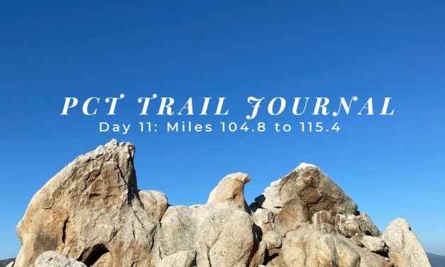 PCT Trail Journal: Day 11 Miles 104.8 to 115.4