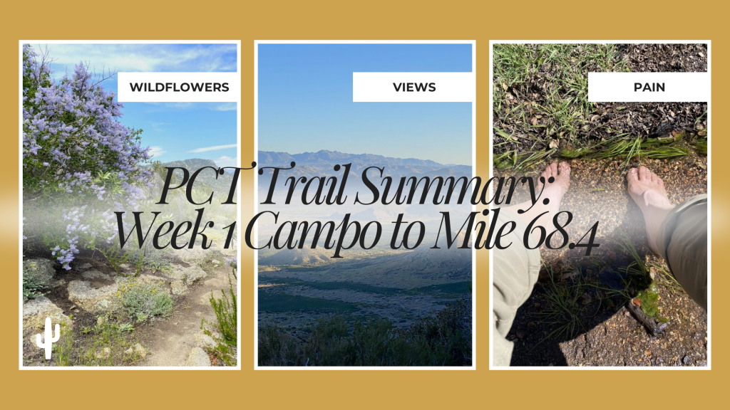 PCT Trail Summary Week 1 Campo to Mile 68.4 Get Outdoors Get Happy