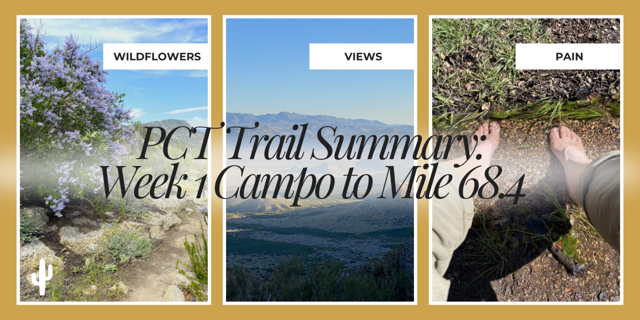 PCT Trail Summary: Week 1 Campo to Mile 68.4