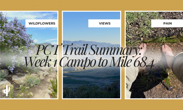 PCT Trail Summary: Week 1 Campo to Mile 68.4