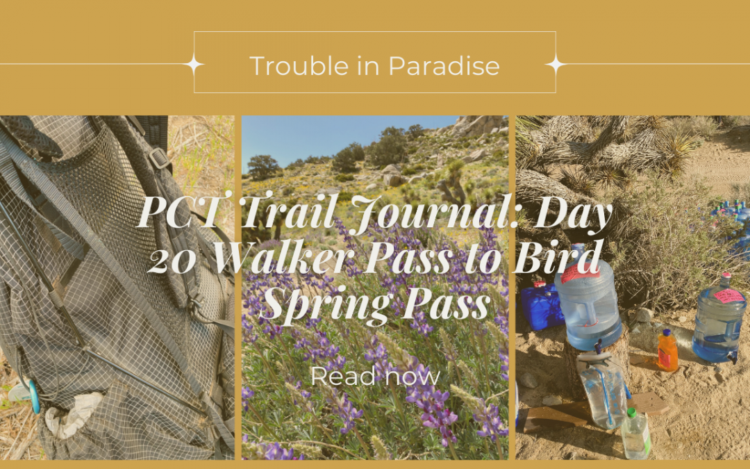 PCT Trail Journal: Day 20 Walker Pass to Bird Spring Pass