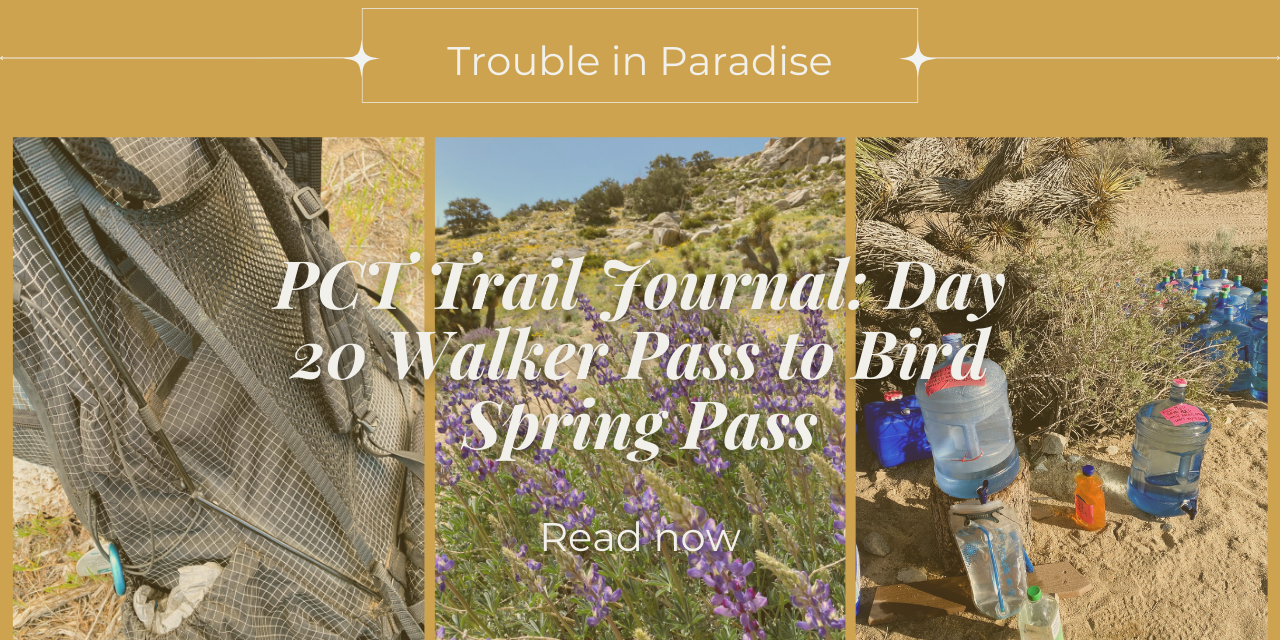 PCT Trail Journal: Day 20 Walker Pass to Bird Spring Pass