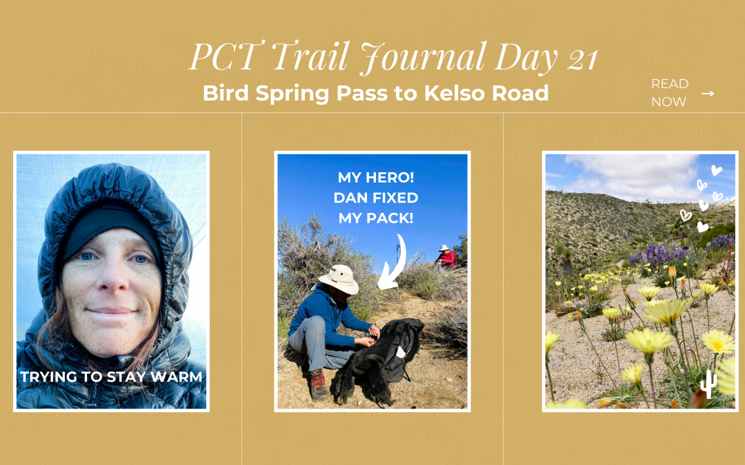 PCT Trail Journal: Day 21 Bird Spring Pass to Kelso Road