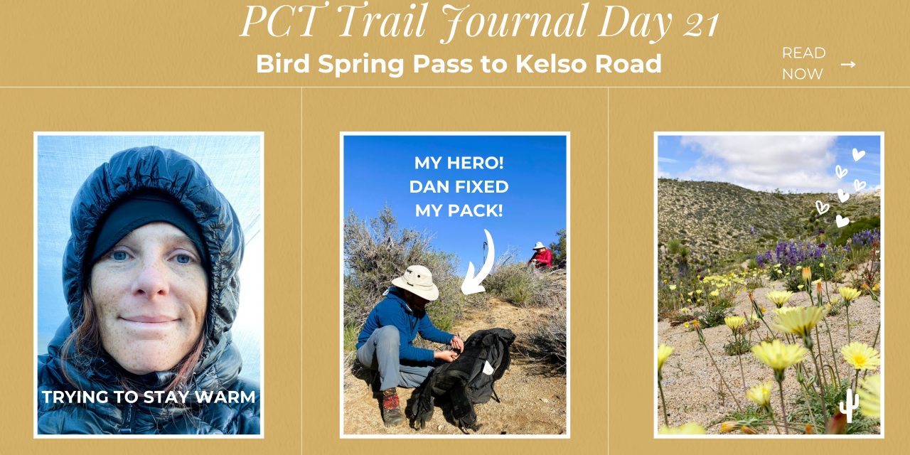 PCT Trail Journal: Day 21 Bird Spring Pass to Kelso Road