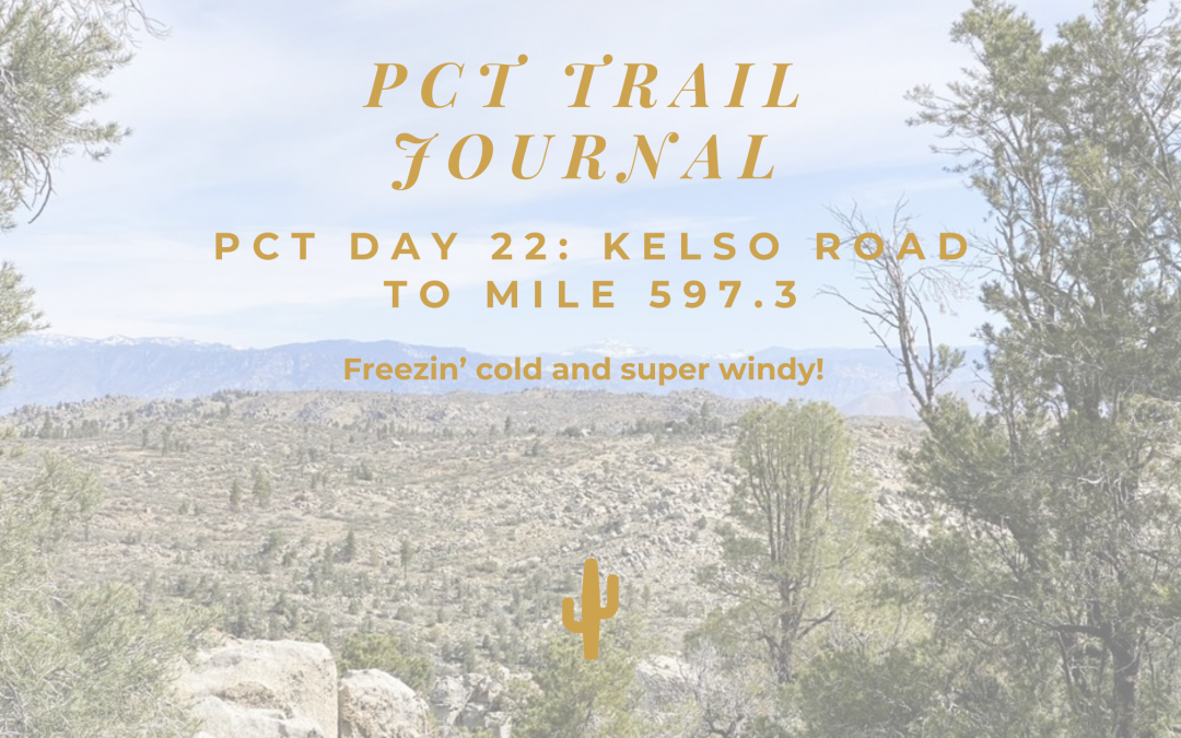 PCT Trail Journal Day 22: Kelso Road to Mile 597.3