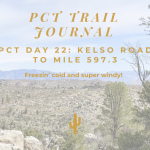 PCT Trail Journal Day 22: Kelso Road to Mile 597.3