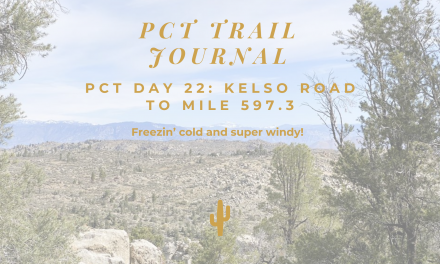 PCT Trail Journal Day 22: Kelso Road to Mile 597.3