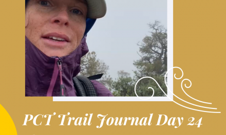 PCT Trail Journal Day 24: Mile 578.1 to Tehachapi