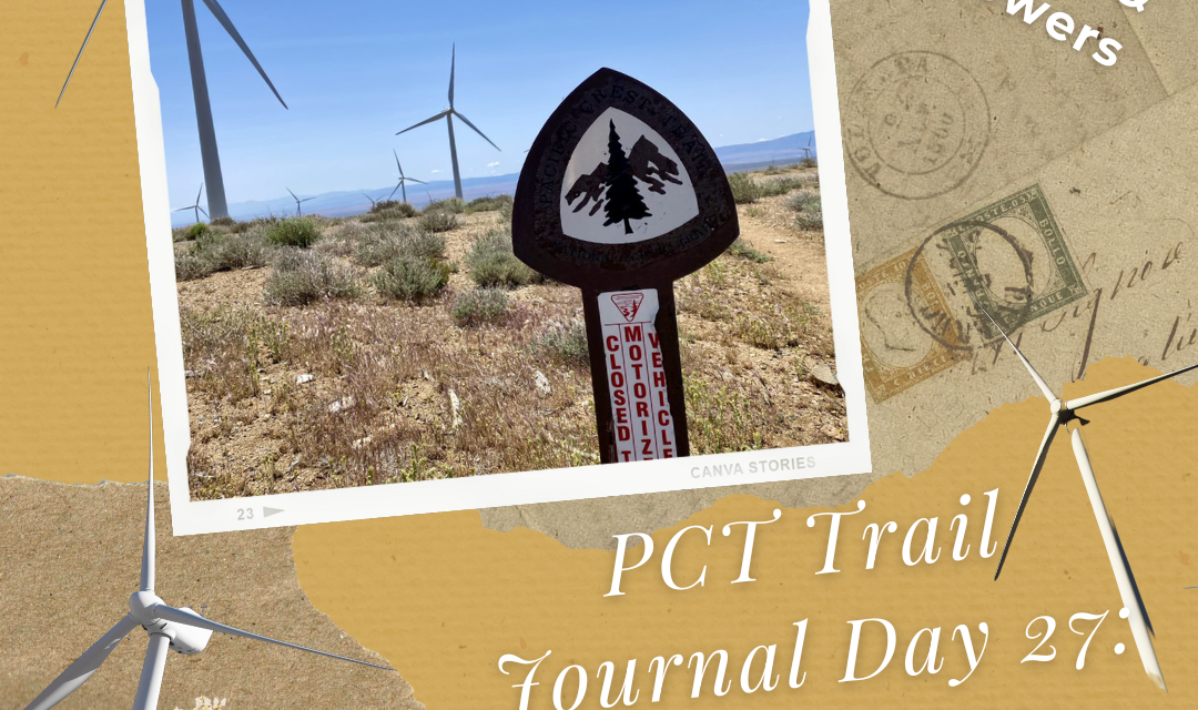 PCT Trail Journal Day 27: Mile 549.0 to 528.0