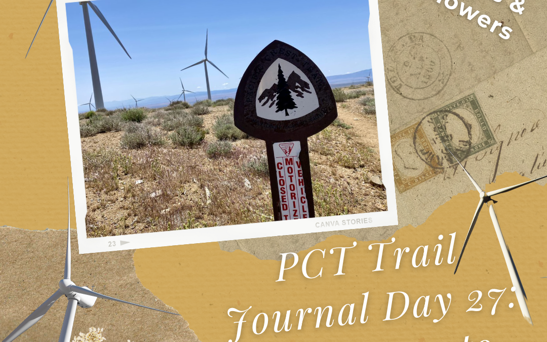 PCT Trail Journal Day 27: Mile 549.0 to 528.0
