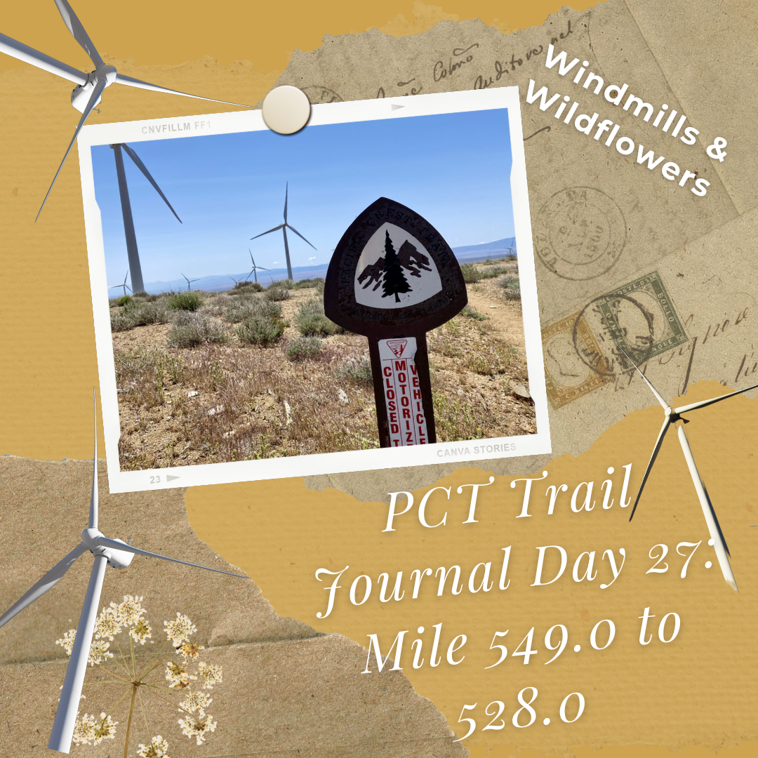 PCT Trail Journal Day 27 Mile 549.0 to 528.0