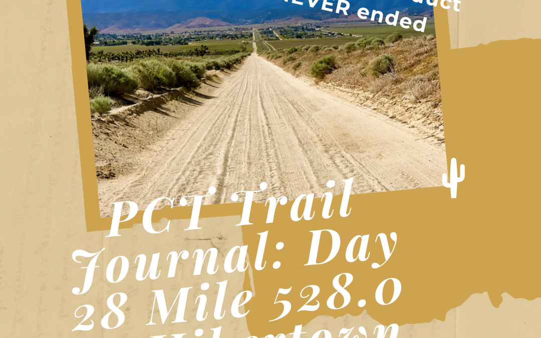 PCT Trail Journal Day 28: Mile 528.0 to Hikertown