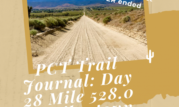 PCT Trail Journal Day 28: Mile 528.0 to Hikertown