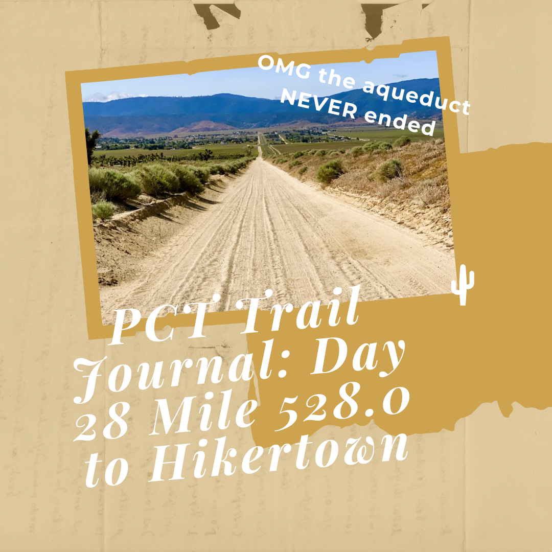 PCT Trail Journal Day 28 Mile 528.0 to Hikertown